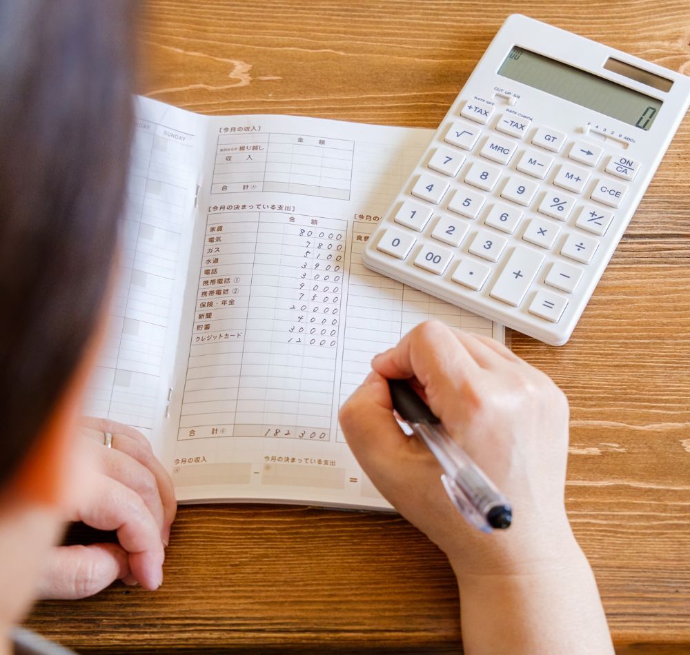 professional ledger manager
